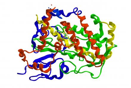 Structure-based drug design